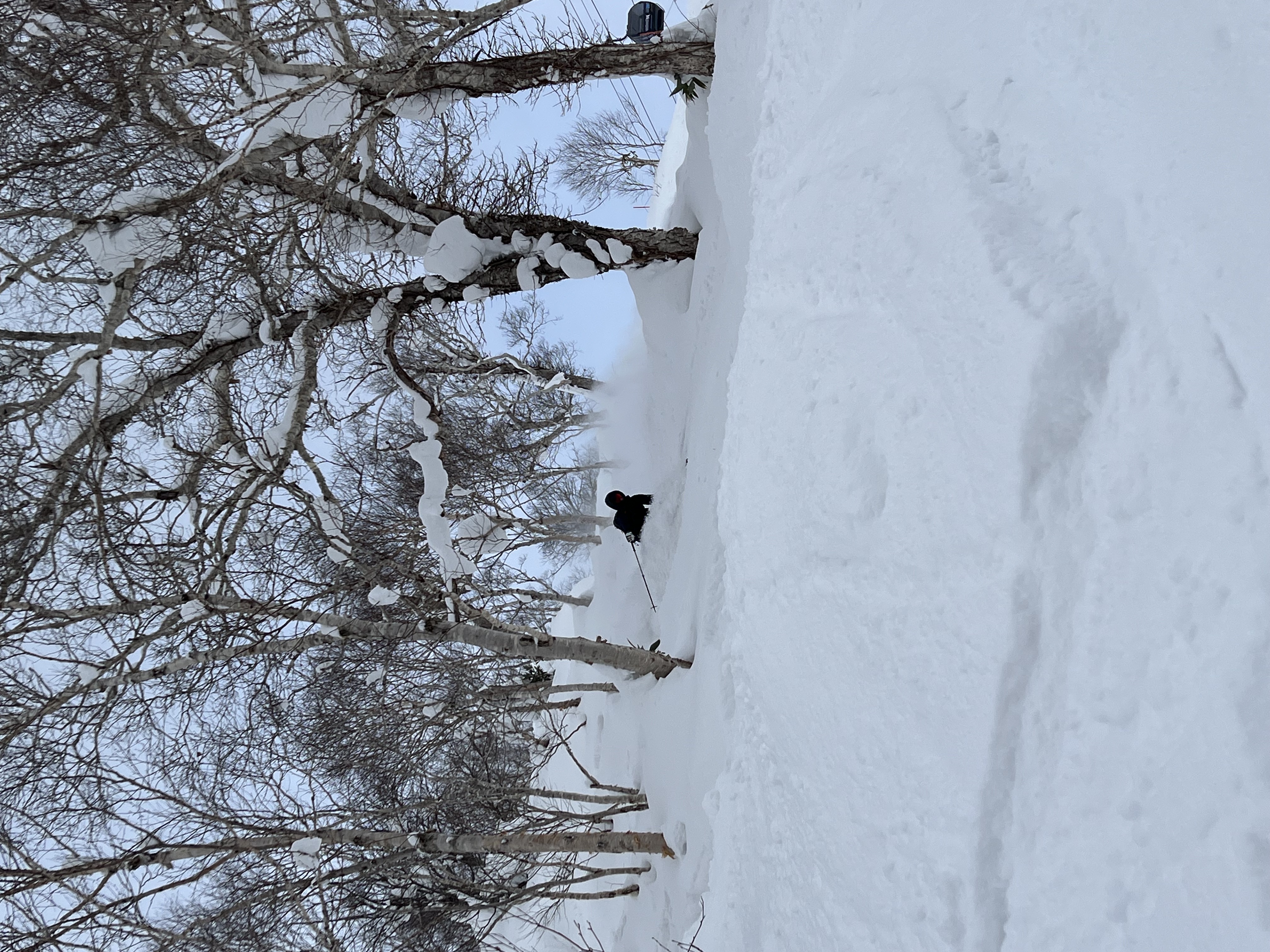 Japan_Hokkaido_Powdertag_Travelzone_Ueli-Kestenholz.jpeg
