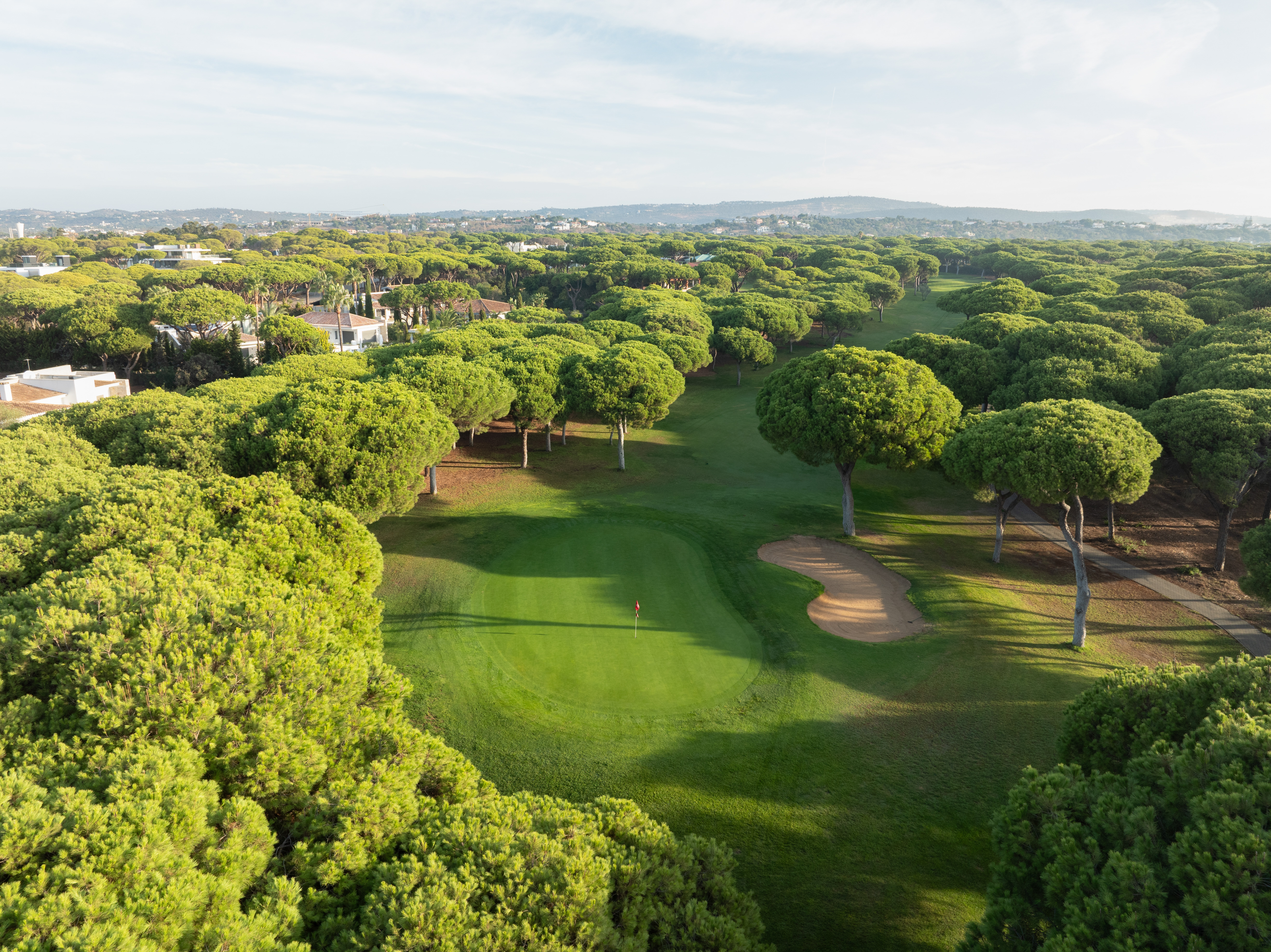 Millennium-DJI_0176-Edit.jpg
